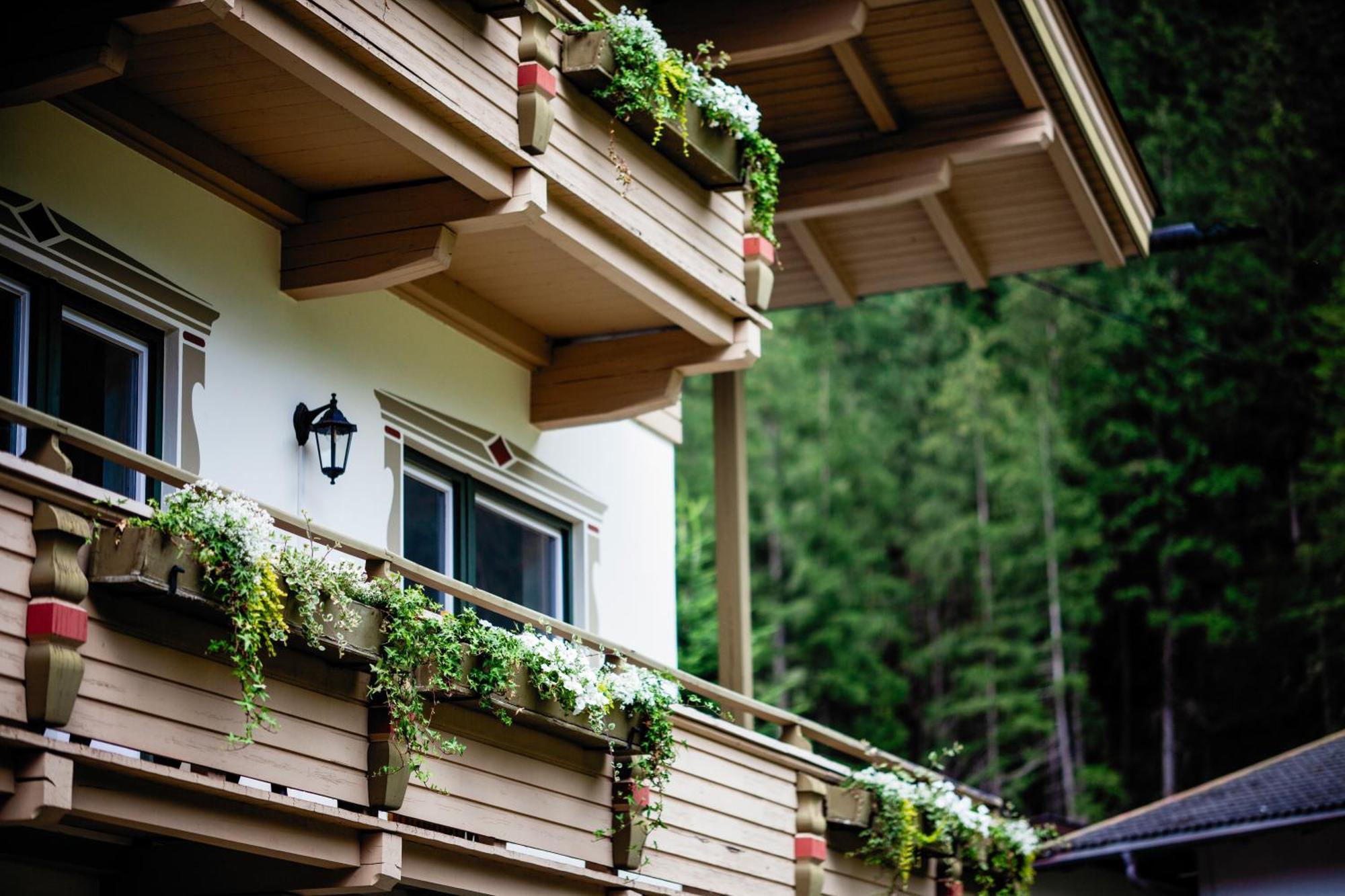 Pinetree Lodge 迈尔霍芬 外观 照片